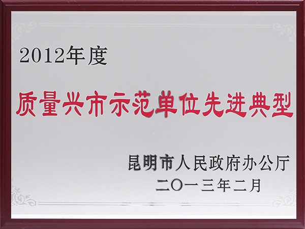 2012年度质量兴市示范单位先进典型